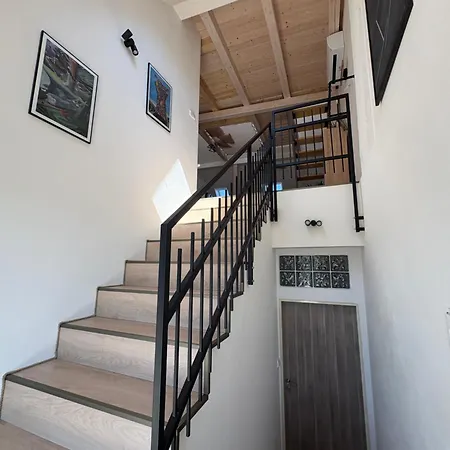 Ve štítu